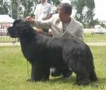 Превью фото № 11090