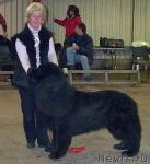 Превью фото № 11091