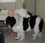 Превью фото № 11151