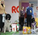 Превью фото № 111532