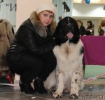 Превью фото № 111538