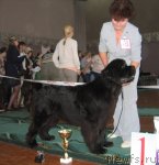 Превью фото № 111551