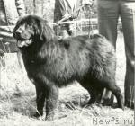 Превью фото № 1116