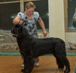 Превью фото № 111657