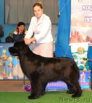 Превью фото № 111792