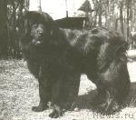 Превью фото № 1118