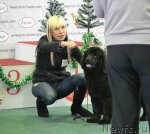 Превью фото № 111958