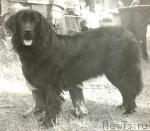 Превью фото № 1120