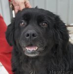 Превью фото № 112028