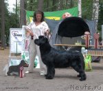 Превью фото № 112086