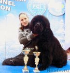 Превью фото № 112529