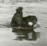 Превью фото № 1126