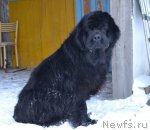 Превью фото № 112688