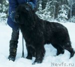 Превью фото № 112697