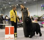 Превью фото № 112740