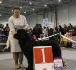 Превью фото № 112745