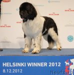 Превью фото № 112777