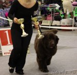 Превью фото № 112847