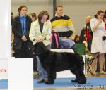 Превью фото № 113075