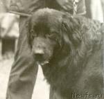 Превью фото № 1133