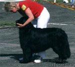 Превью фото № 113326