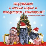 Превью фото № 113563