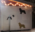 Превью фото № 113773