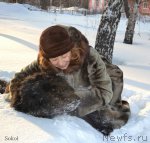 Превью фото № 113787