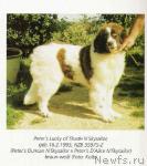 Превью фото № 1139