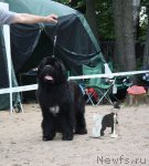 Превью фото № 114670