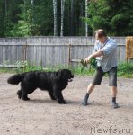 Превью фото № 114751