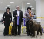 Превью фото № 114755