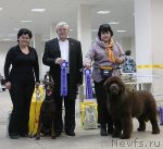 Превью фото № 114756