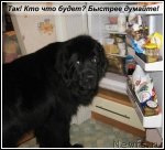 Превью фото № 115224