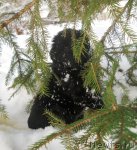 Превью фото № 115225