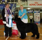 Превью фото № 115309