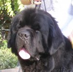 Превью фото № 115452