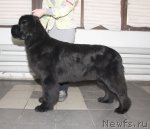 Превью фото № 115623