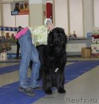 Превью фото № 115624