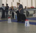 Превью фото № 115627