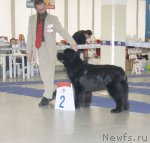 Превью фото № 115636