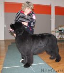 Превью фото № 116692