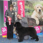 Превью фото № 116699