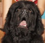 Превью фото № 116812