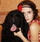 Превью фото № 116813