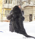 Превью фото № 117531