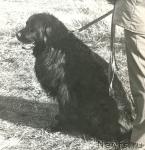 Превью фото № 1178