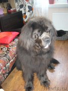 Превью фото № 117884