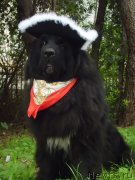 Превью фото № 117889