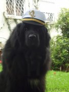 Превью фото № 117891